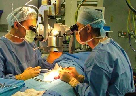 Photo: Perth Vasectomy Reversal Centre